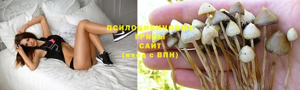 каннабис Богородск