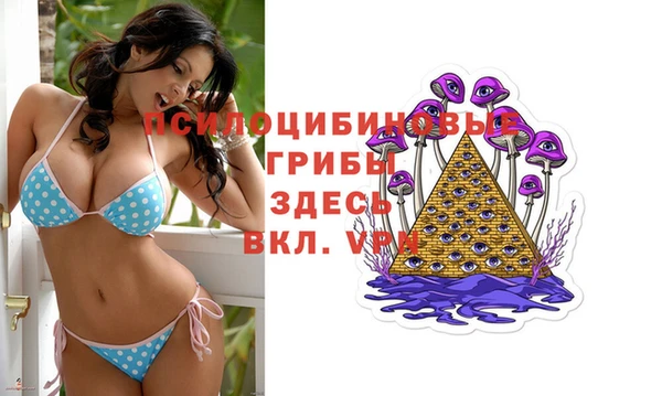 spice Богданович