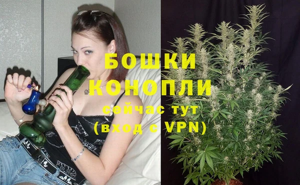 меф Богородицк