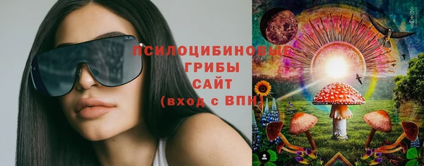 spice Богданович