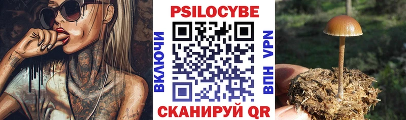Псилоцибиновые грибы Psilocybine cubensis Калуга